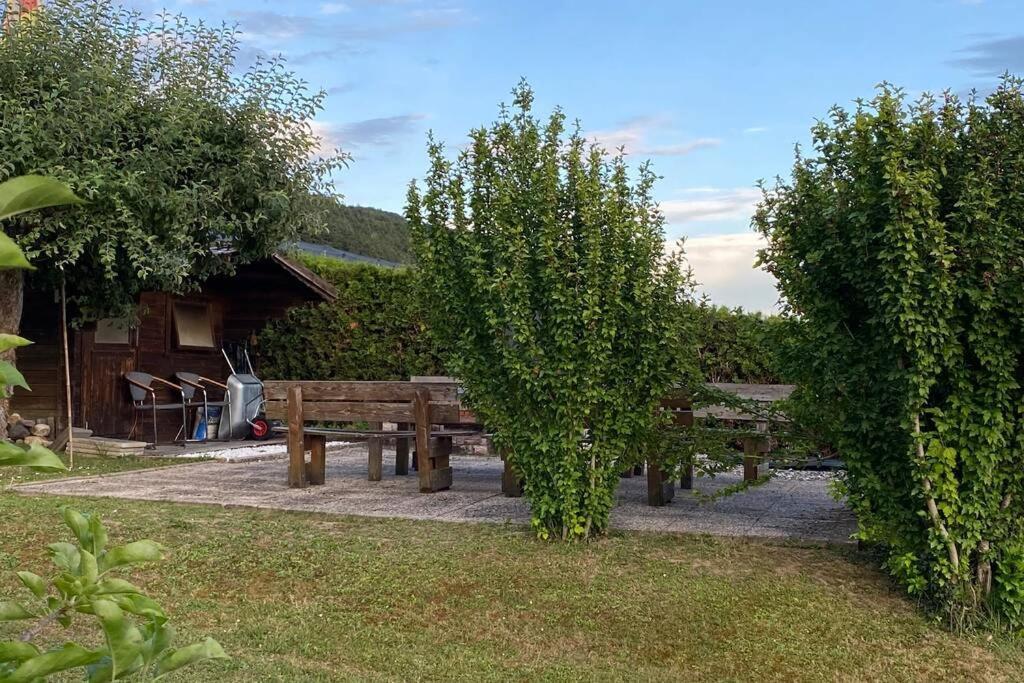 Die Seeblume - Ferienwohnung mit Pool und Seeblick Bodman-Ludwigshafen Exterior foto
